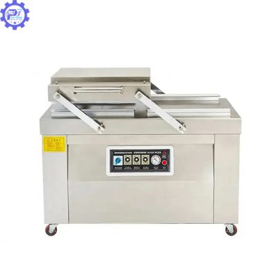 Máy hút chân không 2 buồng DZQ 500-2S 